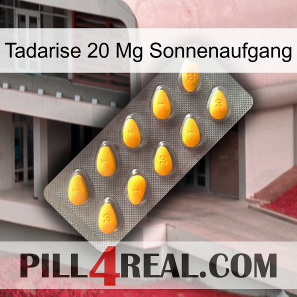 Tadarise 20 Mg Sunrise cialis1